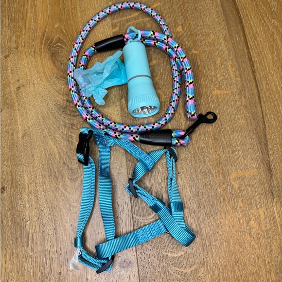 Dog Puppy Cat Walk Set Kit harness Leash Bag Holder Flashlight 80s Style Neon - Picture 9 of 11